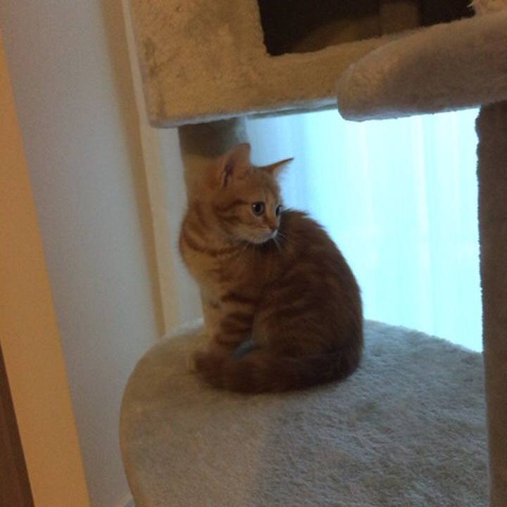 863c61ae 73f1 4c2b bc09 a882b75e54d3