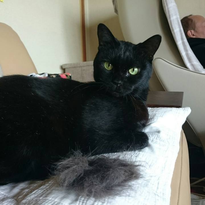 863ca362 b0c8 4d46 bfbf 29a3f7892db5