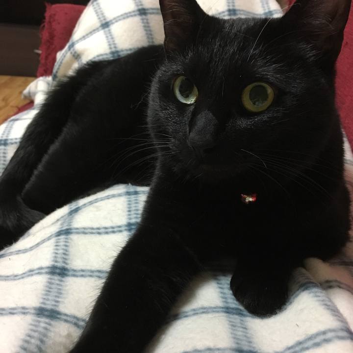 863cbfb8 a144 4d0f 9445 61496d065a8e