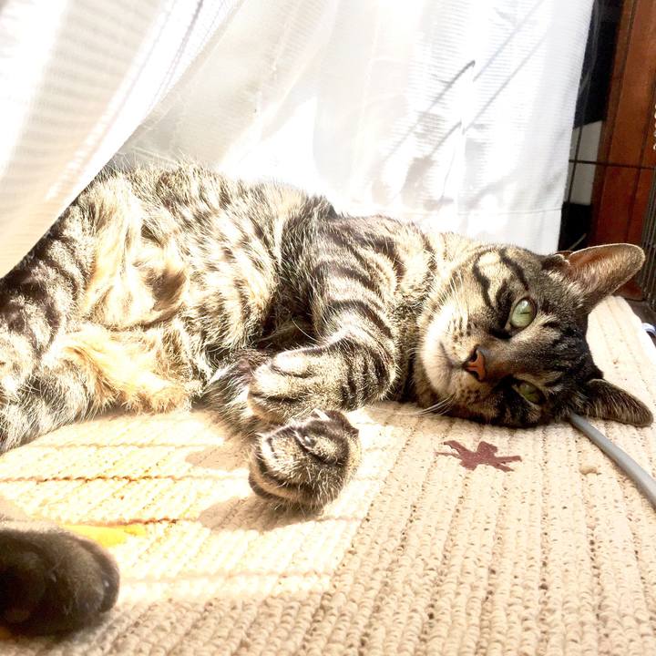 863cd95f 316e 4fb7 8f46 da3df6c1ccf2