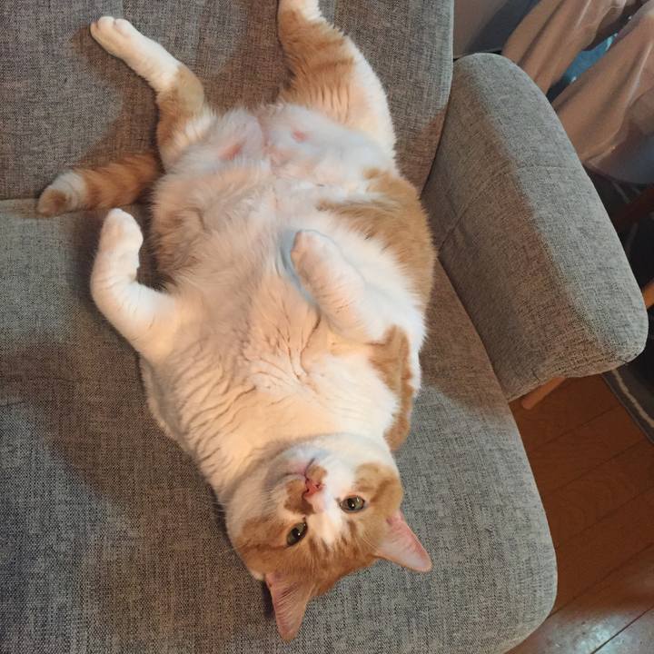 863d1ffc f5c3 4f44 9930 2e8a3ba94a9a