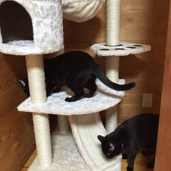 863d2501 af5d 429e b057 feaa2c624eb7