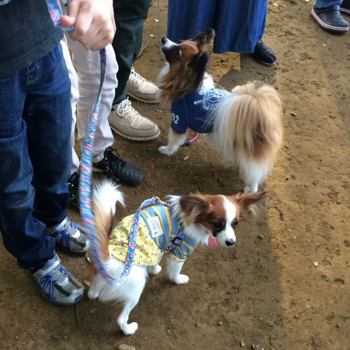 863d627a b8c6 40b7 a86b 68396523bec6