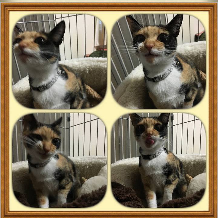 863dbece bb66 429a a1a7 0a799179c453