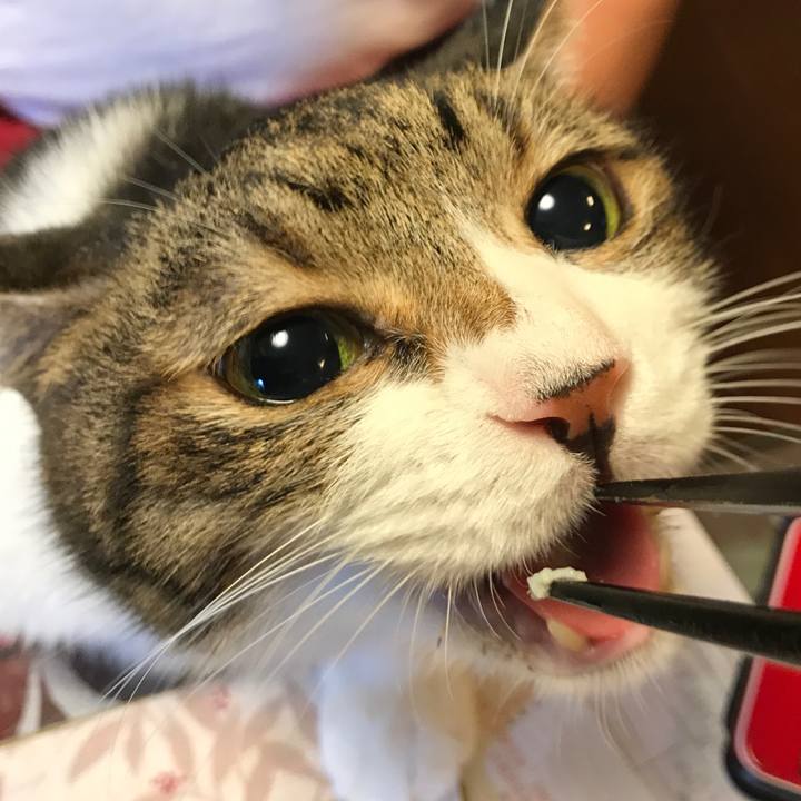 863ded72 b078 411b 88d4 c463c621263d