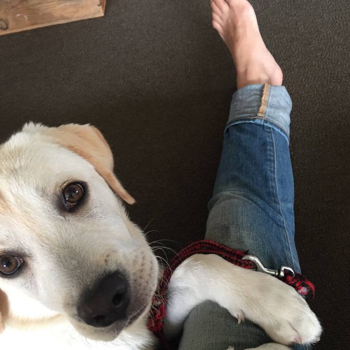 863e09d5 dffc 4aa0 9254 563526b36d0d