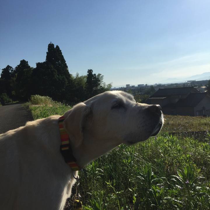 863ef59b bb40 4a45 9ad8 6424738b8ce4