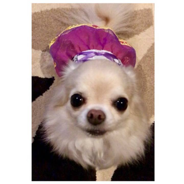 863f7864 4846 4f05 bf22 0694ed50930b