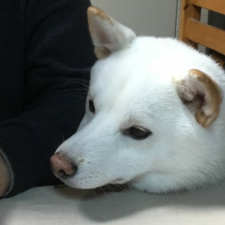 863fc661 e7c2 4be9 a024 dd4501e5de72