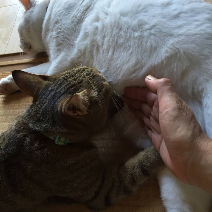 863fd0e3 d9cb 4e79 b8e1 c6ca915db48f