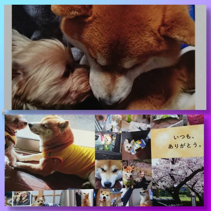 863fd2af b39d 4ade be0b ac5c1bf332ce