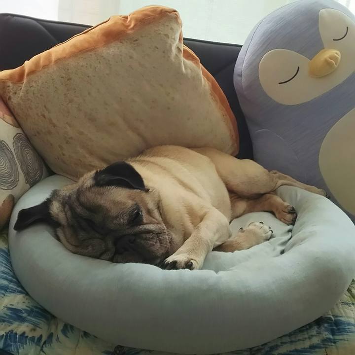 863fdc41 2e23 4b4f a7a4 b1a988bd11a8