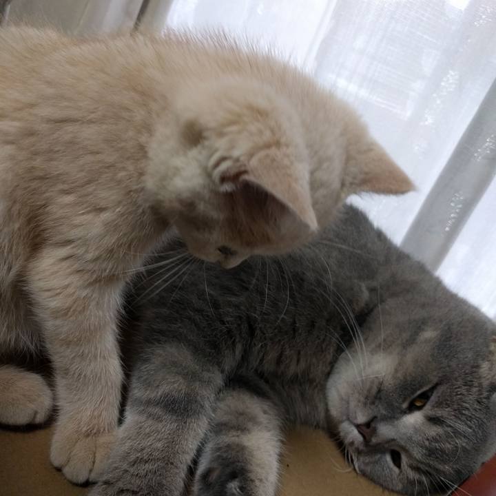 863fea7b e173 4f8f a3a3 2e6cea8660e7