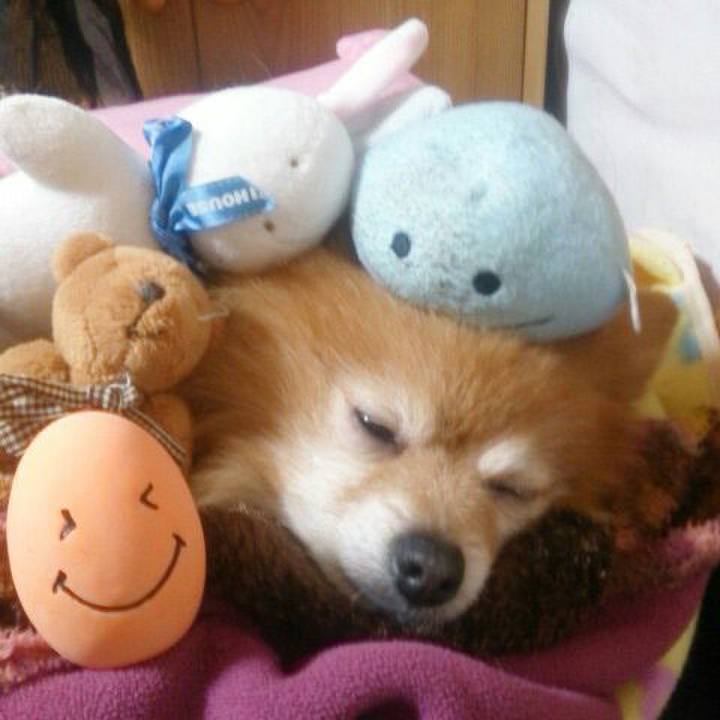 86401775 68f0 40c0 8bdc 8db1ef214a8d