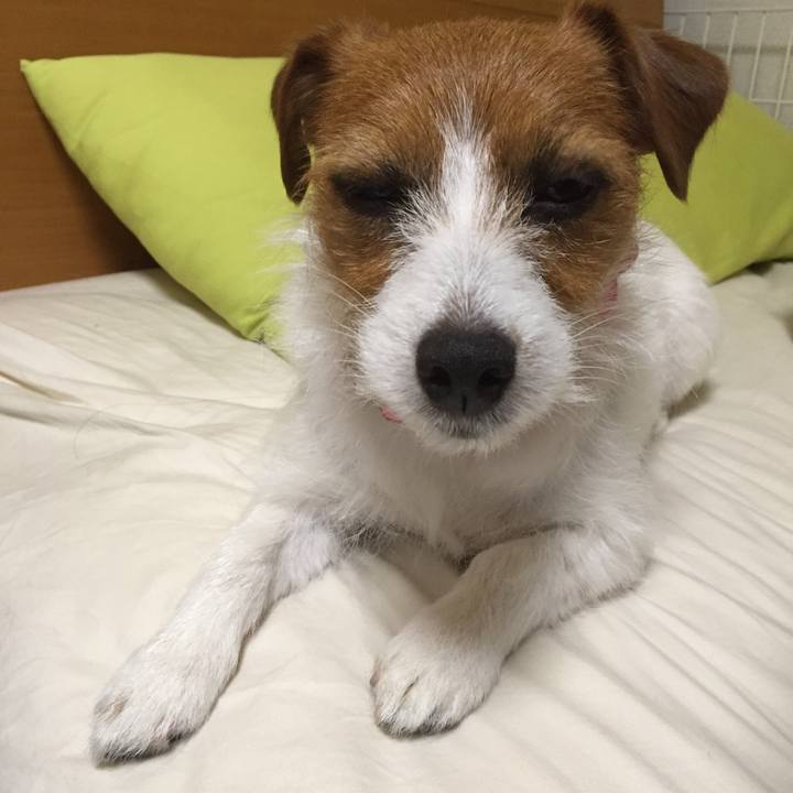 864044fa 6ba2 4a58 8e79 e43bb9bccc00