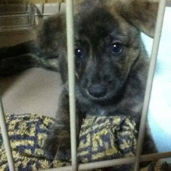 8640bc40 3700 47e7 b868 d5169c1f29a2