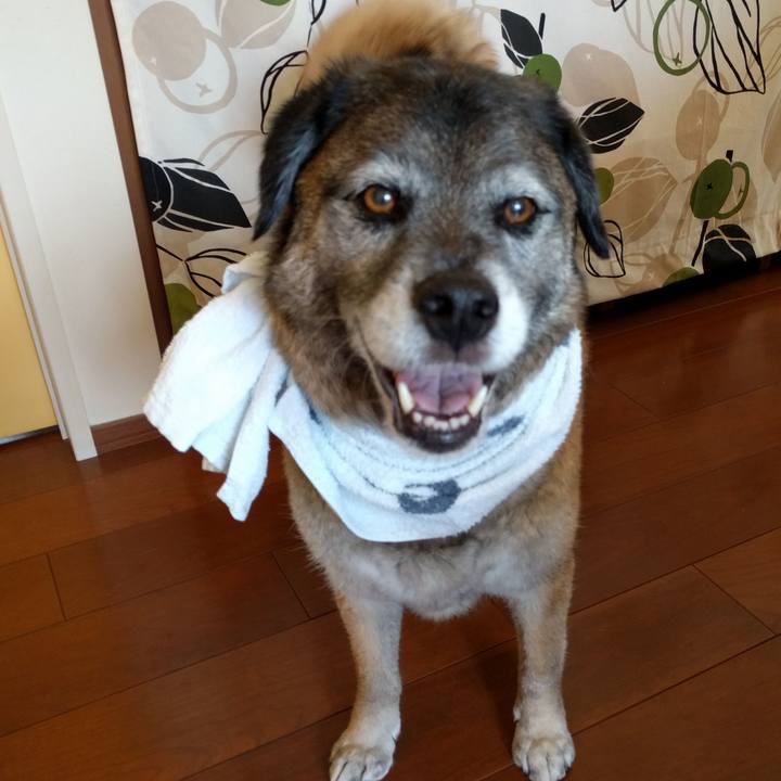 86410920 357f 462f 80dd a913c162f135