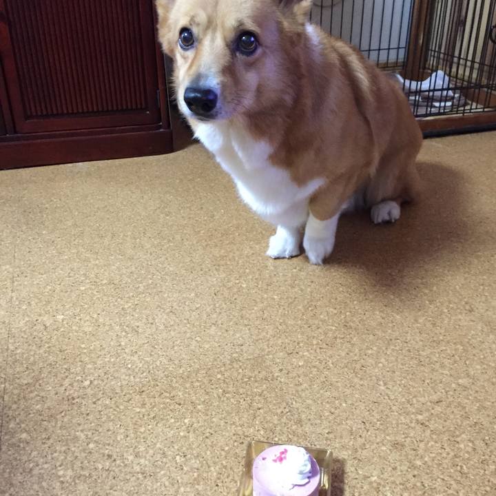 86415f54 1a10 4b8b 85c4 eef1d5359e64