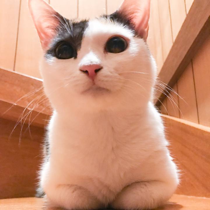 8641a7f7 ac5b 43af 88b5 627cd817aa1c