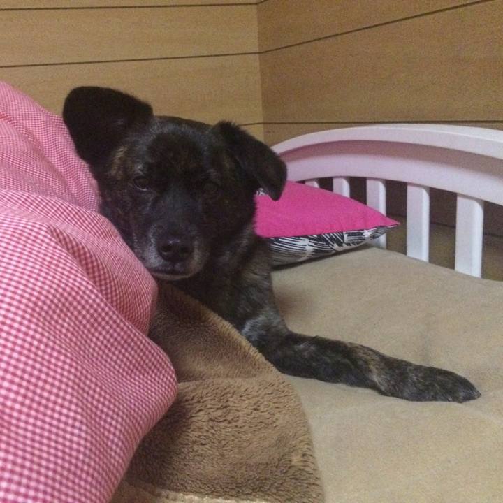 8641ddb7 1f7f 4ff0 be39 e9d79adff273