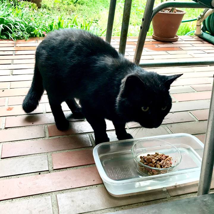 8642f3b3 6da5 46cf 9dfe 9a4b63299239