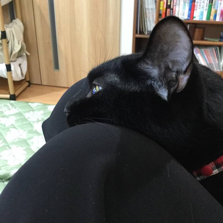 864313d2 0463 4503 82e4 36110c5c46c8