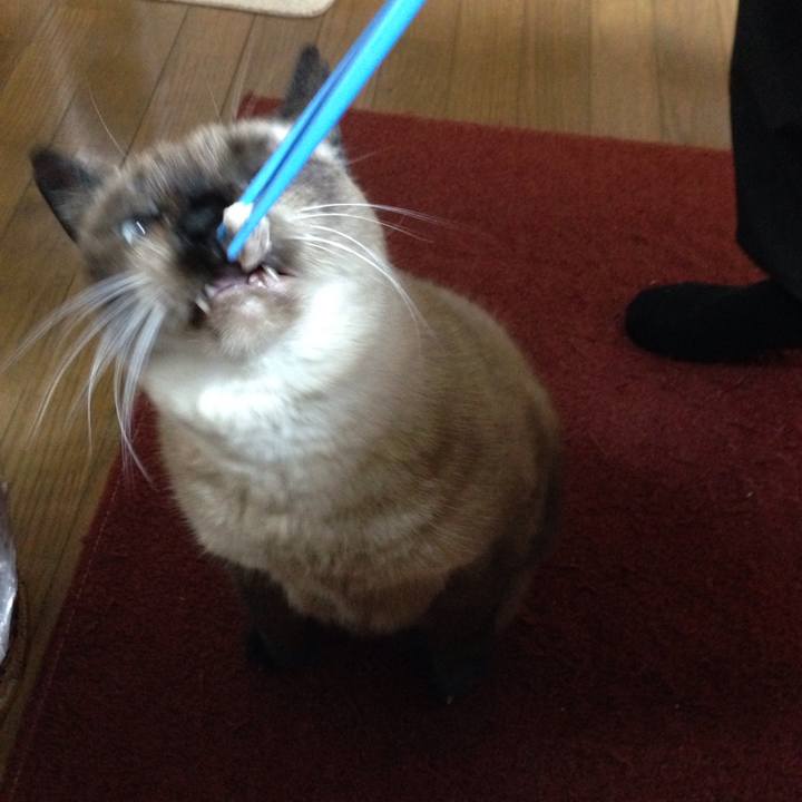 86431c56 1276 4917 b3ee 9e6e3a6e2bd4