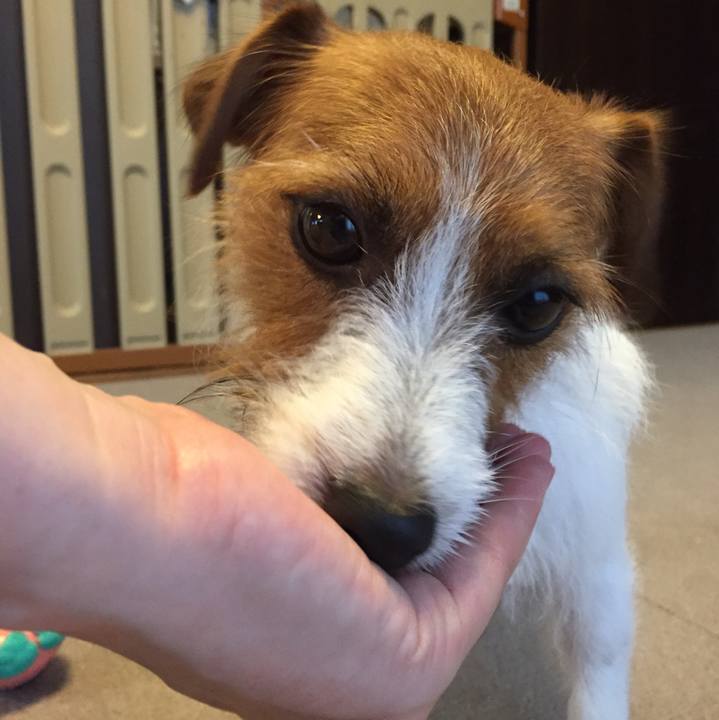 86432f53 e630 4f26 8ddb 5e1aca850547