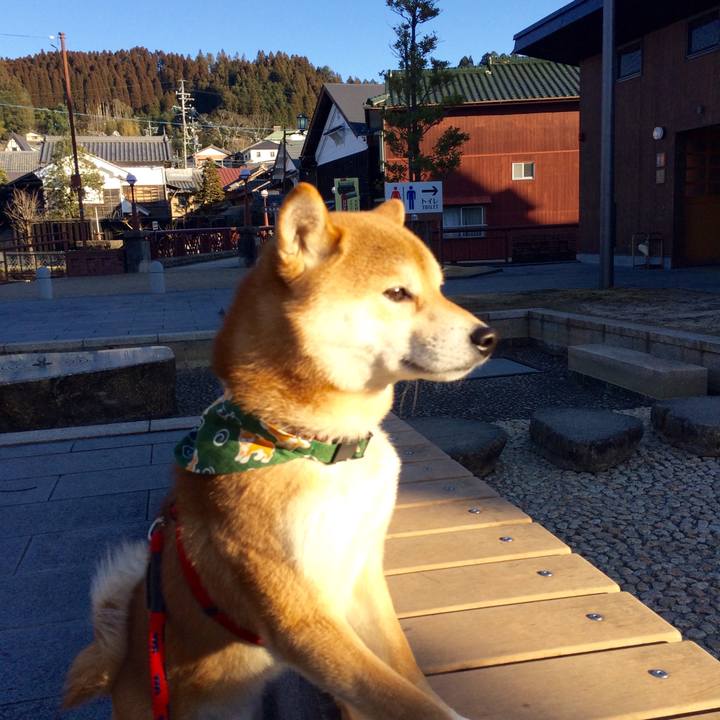 86434e42 977c 4aa8 8583 c65c99839924