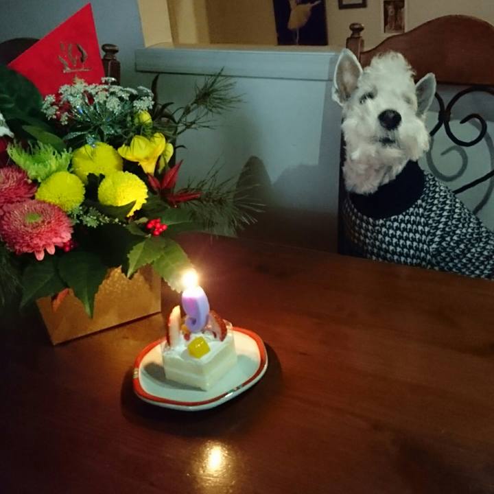 86439627 3a2e 44bc 9d3c c3b3b56f03a0