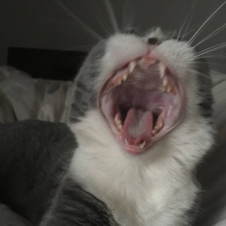 8643e42a 0a74 4b12 86da 86730f9cdc53