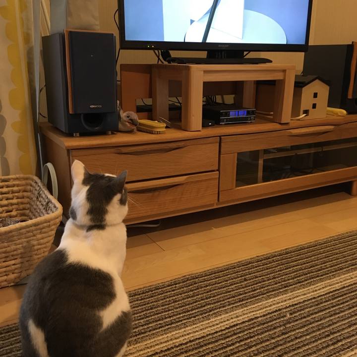 864411cf c337 4bb5 ac0d 9d7bdeb36534