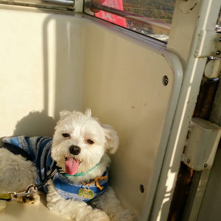 86445599 fb28 42ba a21b 38c0f2186a2f