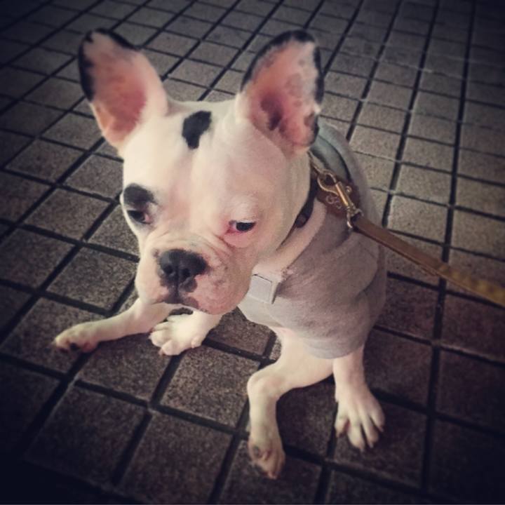 86449518 0f0c 476a 8232 3faadd95178a