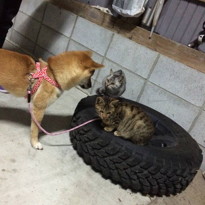 8645218a e20b 492a 9700 4d86aeacddd7