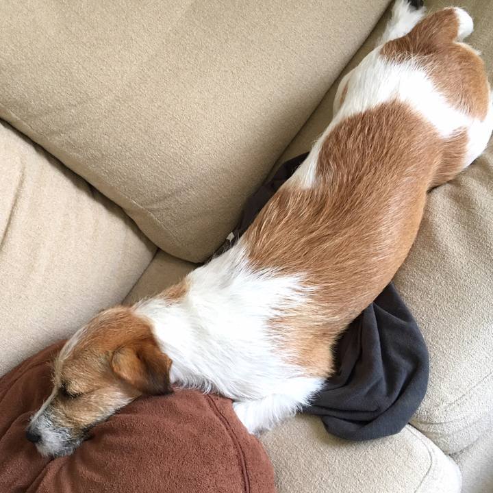 864534fd 7fb5 438d a111 5a08468e9c79