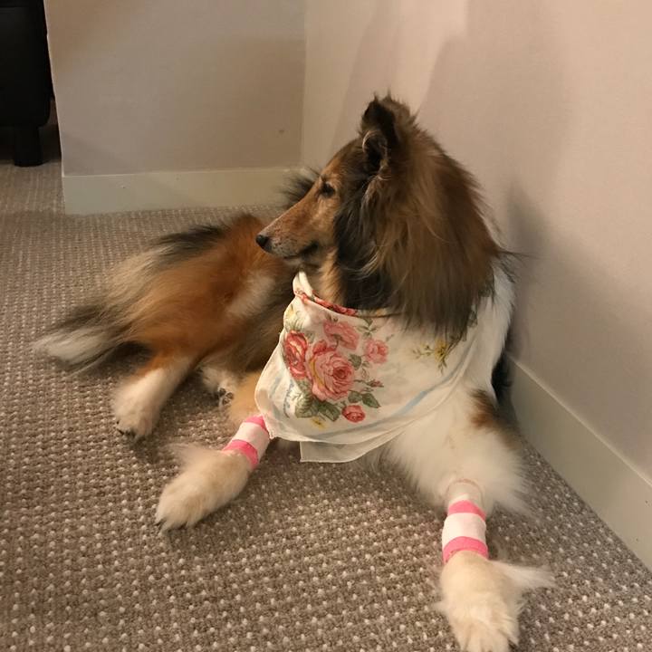 8645b6db 05dd 4413 b1c3 efdd4f8edadd