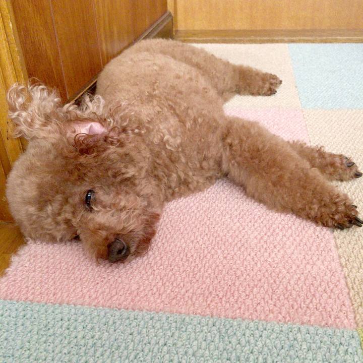 86467f98 e8ed 4709 8eb9 fc98c1265f51