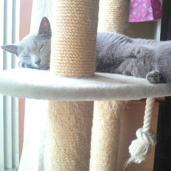 8646ae37 2102 403c 82db 1f0e4fe724f9