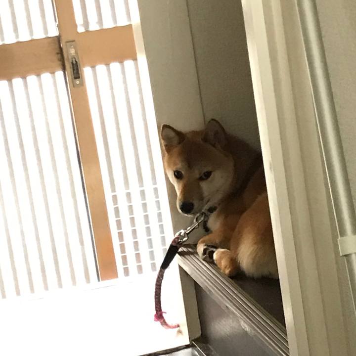 864726b7 5d5f 450a 97f6 0ff92c0eee46