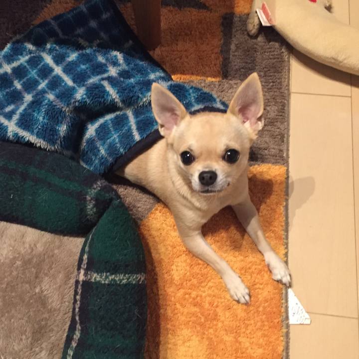 8647f5f8 bce0 41ea 9bf0 368337155ab0