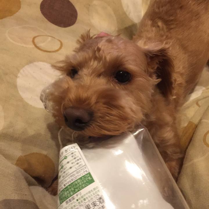 86484e80 dc6b 4a72 b49f 86dde2447d07