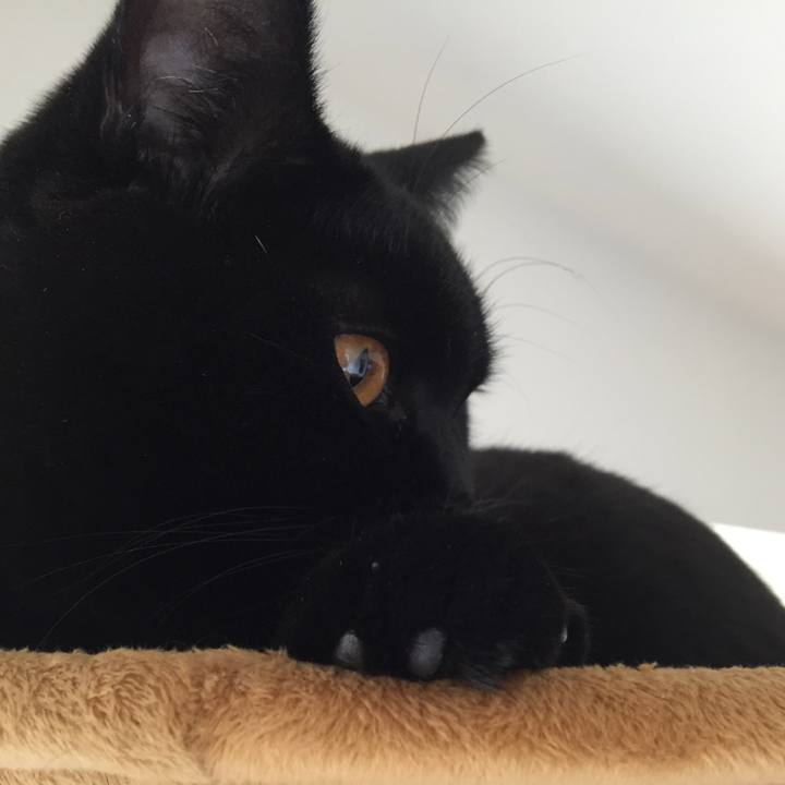 8648949b 3c89 4842 a966 ce293fc3bf47