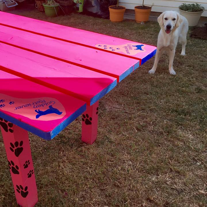 8648bcd0 8c4f 4304 bd10 1ab6b4cca923