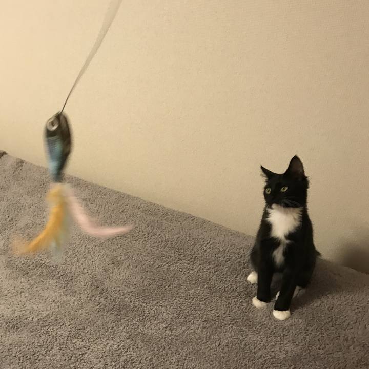 86490228 14d9 481e afb4 52d9e13b0a2e