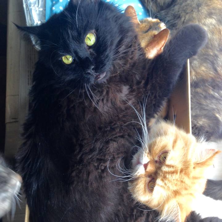 86491ee1 829e 41c5 9d8b 4a01ebfb7430