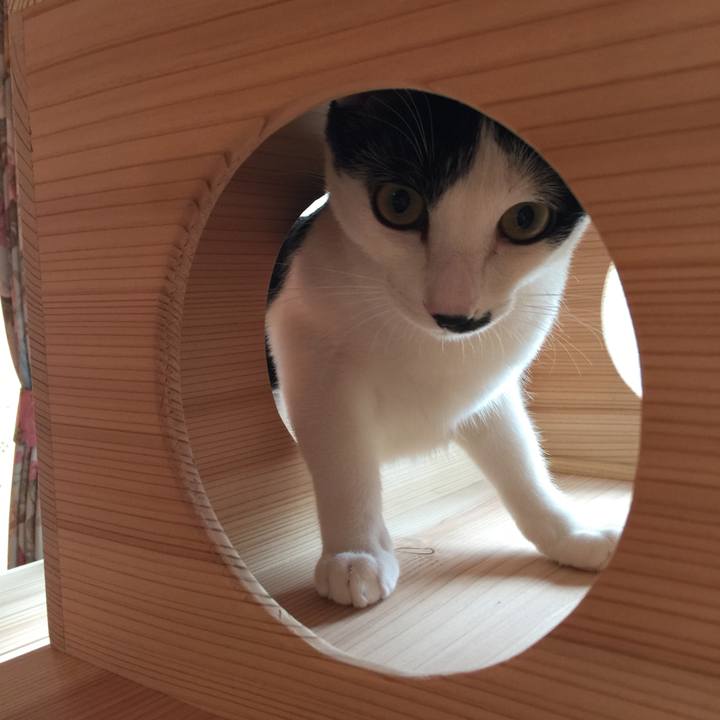 864935d5 344a 46f7 99bb 07d3636d692a