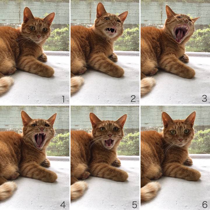 864a3efd 18f2 495d 81b9 3632f78c14b5