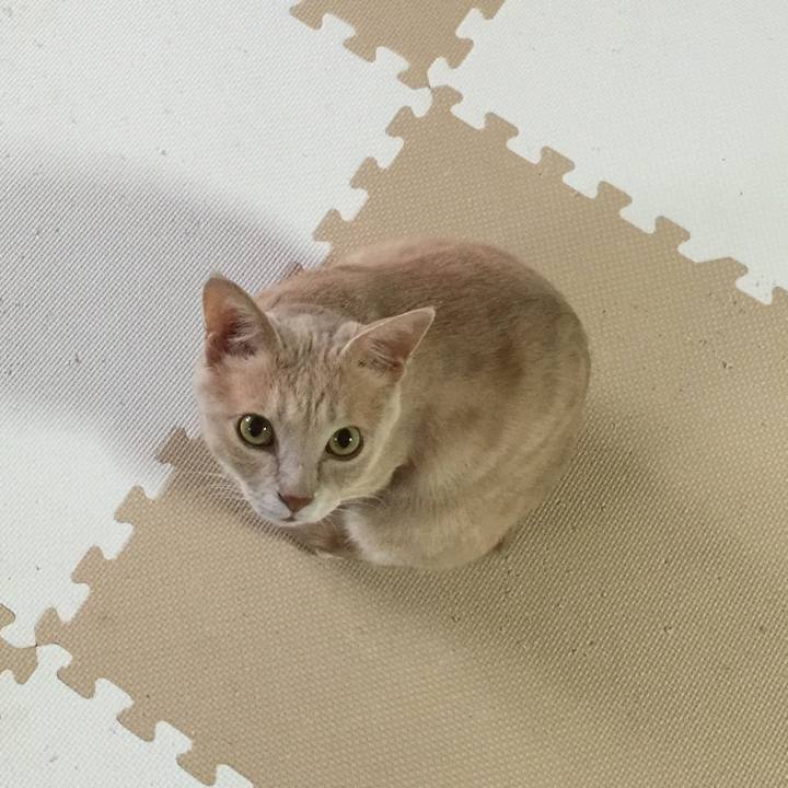 864a6586 0810 45dc 8794 66bd36fec209