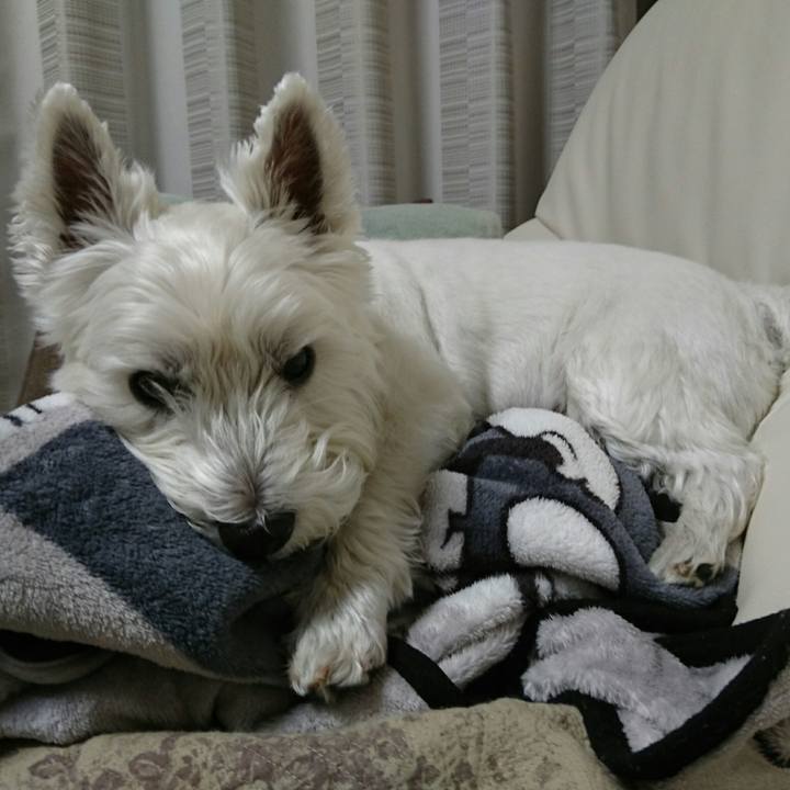 864a945c 7837 487f b6f0 d91309f29c7e